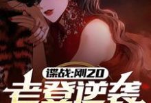 谍战：刚20，老登逆袭什么鬼？小说全文哪里可以免费看？-有文学