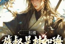 红楼:族叔是林如海,在线当大佬(林民意林黛玉)完整版在线免费阅读-有文学