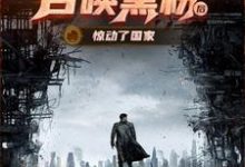 末世直播:召唤黑粉把国家队招来了叶宵在线章节免费阅读-有文学