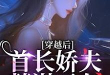 《穿越后，首长娇夫蓄谋已久》小说章节列表免费试读，卫诗云凌卫国小说在线阅读-有文学