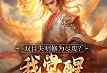 哪里能找到双目失明修为尽废?我觉醒盖世武魂小说的全部章节?-有文学