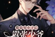 欺负穷小子后,嚣张少爷他破产了小说,欺负穷小子后,嚣张少爷他破产了在线阅读-有文学