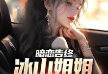 免费在线阅读暗恋告终,冰山姐姐追夫火葬场小说的正规网站有哪些?-有文学