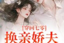 穿回七零,换亲娇夫太爽啦这本小说怎么样?免费在线阅读试试-有文学