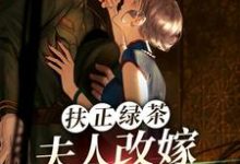 求扶正绿茶?夫人改嫁少帅你哭什么小说的全文免费阅读链接-有文学