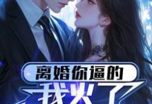 离婚你逼的，我火了你哭什么？小说最新更新在哪里？免费在线看-有文学