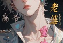 商爷，你的老婆重生啦这本小说完结了吗？免费查看最新章节-有文学