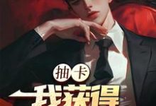 张元小说完整版《抽卡:我获得神级天赋》免费阅读-有文学