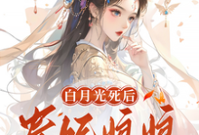 免费看白月光死后，贵妃娘娘断情绝爱了小说的网站有哪些？-有文学