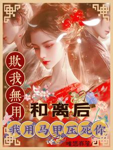 《欺我无用？和离后我用马甲压死你》全集免费在线阅读（叶云舒藿晔庭）