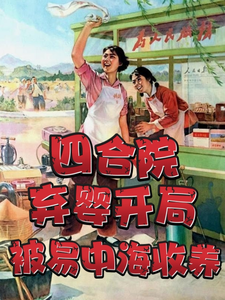 小说《四合院：弃婴开局，被易中海收养》在线章节阅读