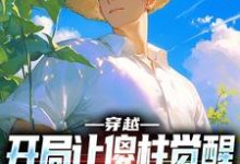 穿越:开局让傻柱觉醒,不做舔狗张峰傻柱,穿越:开局让傻柱觉醒,不做舔狗在线无弹窗阅读-有文学