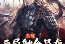 小说《系统:开局融合吕布,一人压诸国》在线章节阅读-有文学