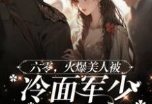 《六零美人有点辣,冷面军少夜夜哄》完整版小说免费阅读-有文学