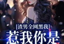 寻找渣男全网黑我?惹我你是生死难料小说的最新更新章节-有文学