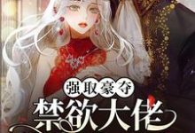 完结版《强取豪夺:禁欲大佬独宠我一人》章节目录在线阅读-有文学