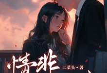 《情非不得你》陈则非江霓小说免费阅读完整版-有文学