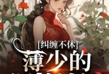 纠缠不休!薄少的深情追逐完整版小说,纠缠不休!薄少的深情追逐最新章节-有文学