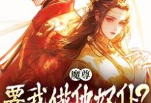小说《魔尊要我做他奴仆？衣服给他炸了！》在线章节阅读-有文学