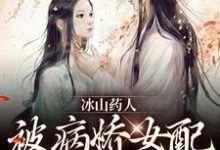 安宁沈昼小说完整版《冰山药人，被病娇女配攻陷了！》免费阅读-有文学