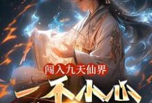 完整版小说《闯入九天仙界,一不小心成了仙王》免费阅读-有文学