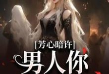 《芳心暗许，男人你有点火热》完整版小说免费阅读-有文学