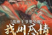 苏婉清陆少卿小说免费阅读完整版-有文学