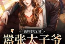 诱吻野玫瑰，嚣张太子爷黏我上瘾免费阅读，诱吻野玫瑰，嚣张太子爷黏我上瘾章节目录-有文学