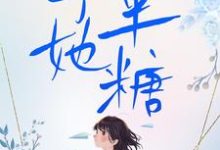 朝暮岁聿小说《予她半糖》完整版免费阅读-有文学