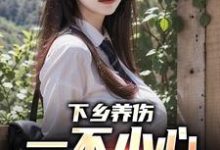 小说《下乡养伤，一不小心带村致富了》在线章节阅读-有文学