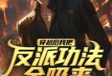 王腾小说完结版在线阅读，穿越后我把反派功法全吸来免费看-有文学