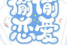 云苏黎雾小说在线章节免费阅读(偷偷恋爱无弹窗无删减)-有文学