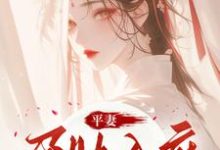 宋徽音完整版小说《平妻孕肚入府，她休夫绝不原谅》免费阅读-有文学