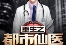 重生之都市仙医小说的无弹窗阅读体验,寻找免费阅读网站-有文学