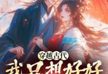 穿越古代,我只想好好发家致富免费阅读,穿越古代,我只想好好发家致富章节在线阅读-有文学