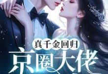 林漫喻宴琛小说免费阅读完整版-有文学