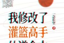 小说完整版《我修改了灌篮高手仙道命中》免费阅读-有文学