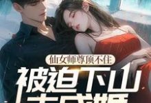 已完结小说《仙女师尊顶不住被迫下山去成婚》章节免费阅读-有文学