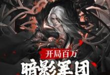 完结版《开局百万暗影军团！缔造不朽帝朝》章节阅读-有文学