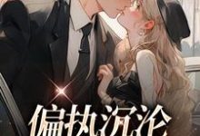 姜海吟邹言小说在线章节免费阅读(偏执沉沦:学长,晚上见无弹窗无删减)-有文学