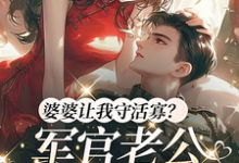 完整版的婆婆让我守活寡?军官老公回来了小说在哪里可以免费读到?-有文学