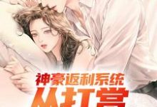 神豪返利系统：从打赏女团开始小说的免费阅读版本在哪里可以找到？-有文学