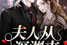 夫人从深渊来免费阅读,夫人从深渊来简茵熹傅霆灏-有文学