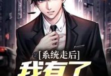 小说《系统走后,我有了亿万资产》在线章节阅读-有文学
