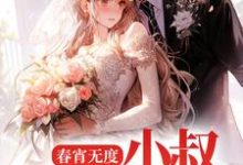 春宵无度：小叔宠我上天完整版小说，春宵无度：小叔宠我上天裴言澈楚栀柔-有文学