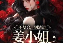 小说《不复合,别沾边,姜小姐又美又飒》在线章节阅读-有文学