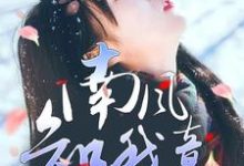 南风知我意,生生盼霄北小说完结版章节免费阅读-有文学