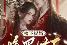 榜下捉婿，腹黑世子你全家又掉马了这本小说在哪里可以看？哪里有免费试读章节？-有文学