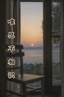 小说《唯愿不相识》完整版章节免费阅读