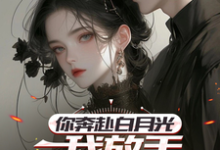你奔赴白月光，我放手你挽留什么楚轩陈冰，你奔赴白月光，我放手你挽留什么小说免费阅读-有文学